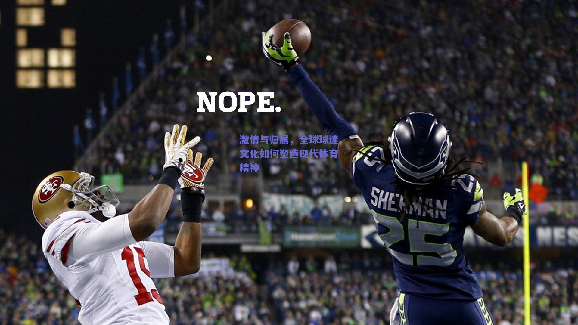 激情与归属,全球球迷文化如何塑造现代体育精神