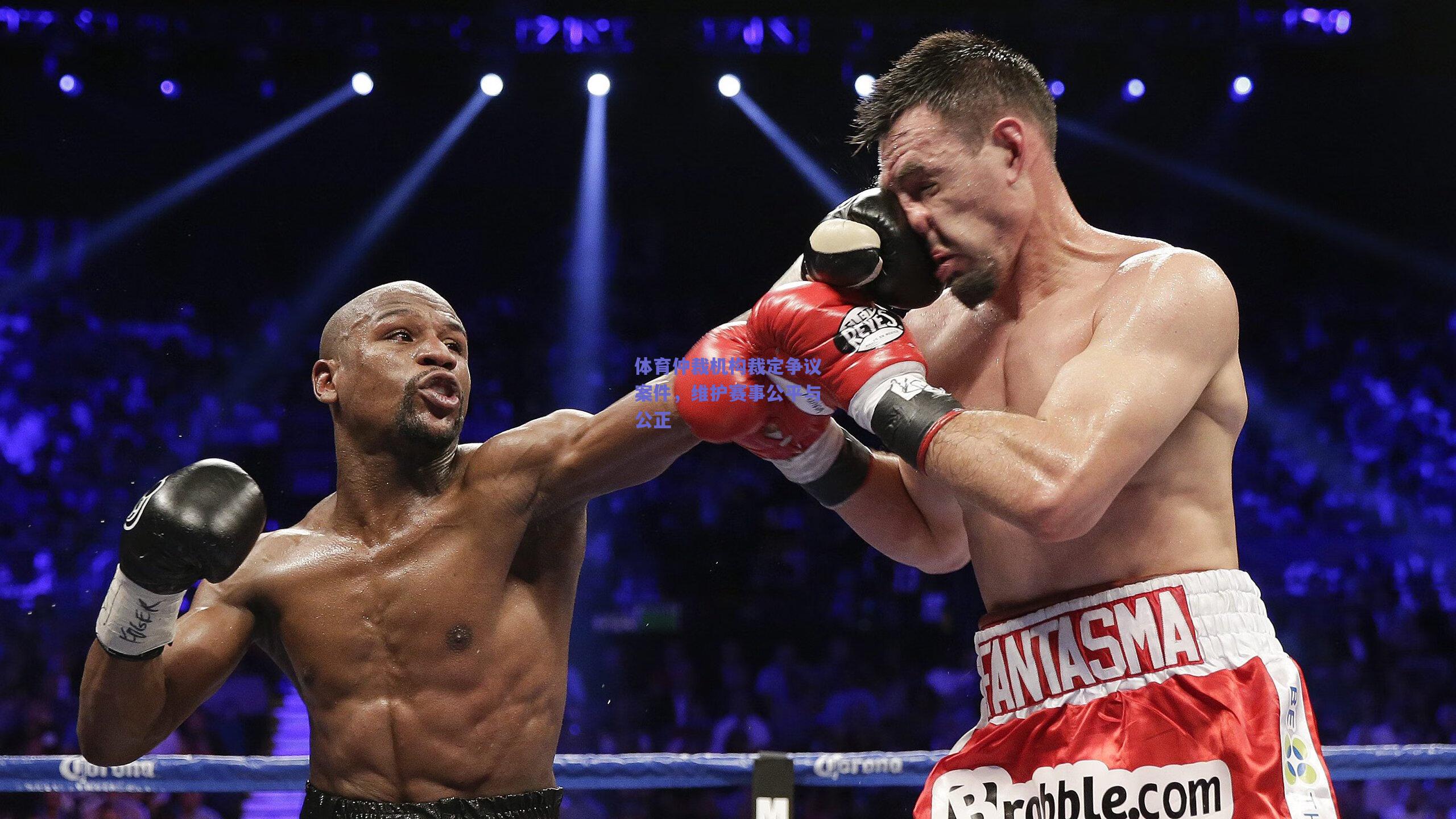 体育仲裁机构裁定争议案件,维护赛事公平与公正